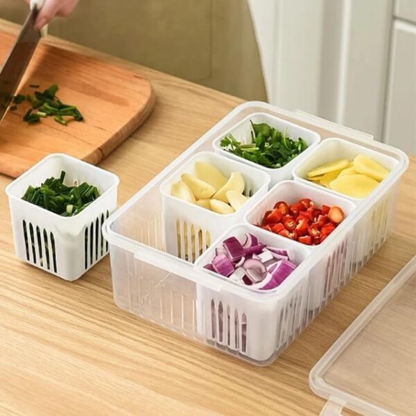Freezer Storage Containers